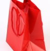 Plastified paper bag